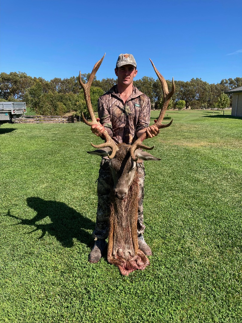 Red Rippa - Australian Hunters Club