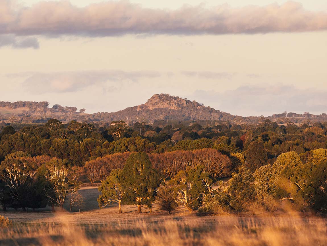 Macedon Ranges Spring Hike and Lunch - Macedon Ranges - Australian Hunters Club